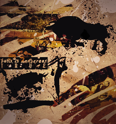 bullsDANGtag_zps05675dfc.png