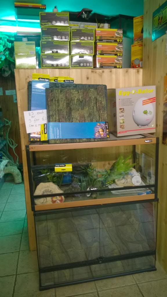 coast to coast reptile shop