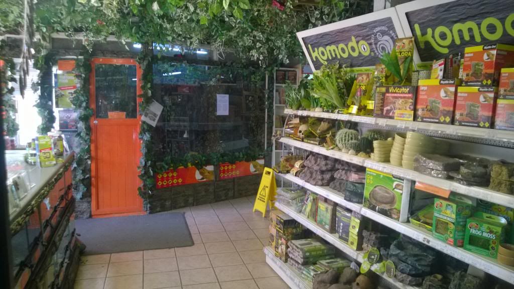 coast to coast reptile shop