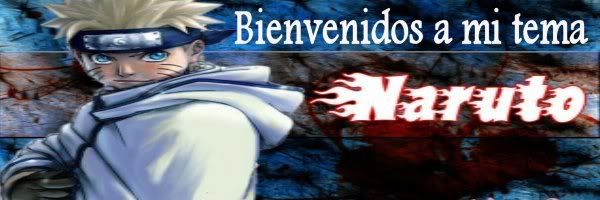 Naruto Shippuden cap 255 (sub español)