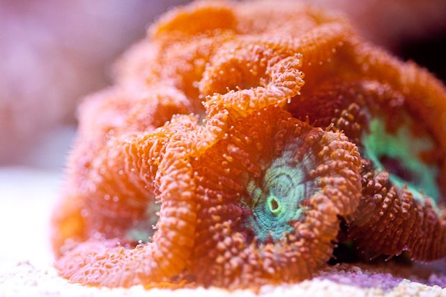 IMAGE: http://i1166.photobucket.com/albums/q610/0kit0/5ft-TJ/48.jpg