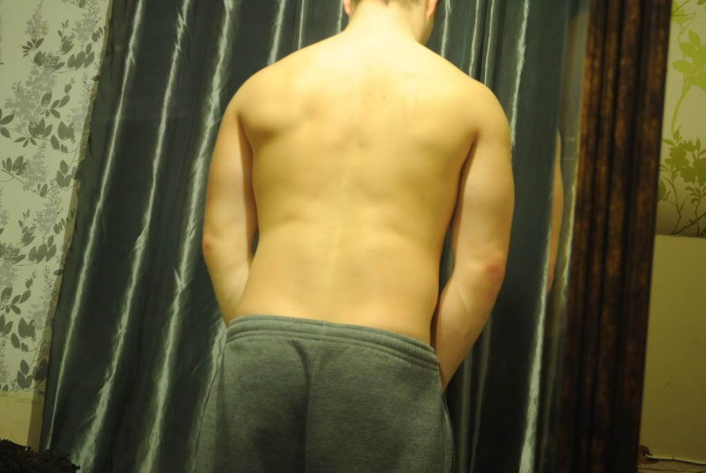 12-03-12Back.jpg