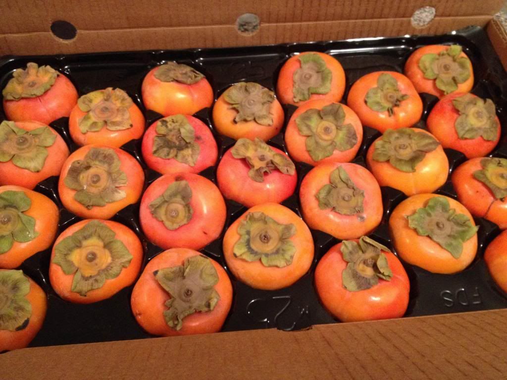 persimmons.jpg
