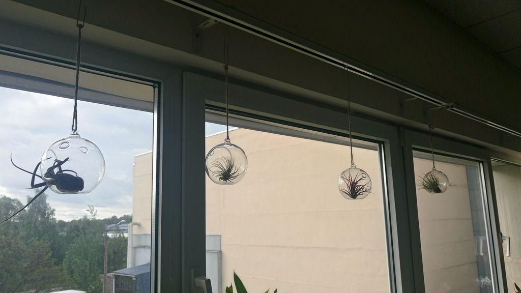 Attēls
