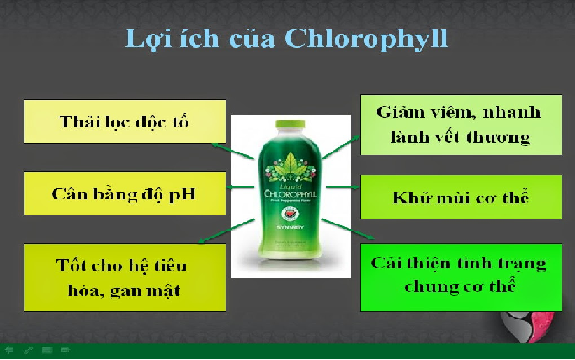 diệp lục synergy