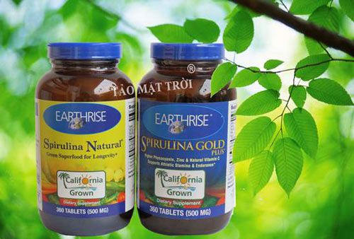 tảo spirulina