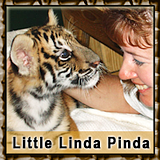 Linda and Tiger 200 x 200 with Little Linda Pinda photo LindaTiger200x200MERGED_zps7c8425a8.png