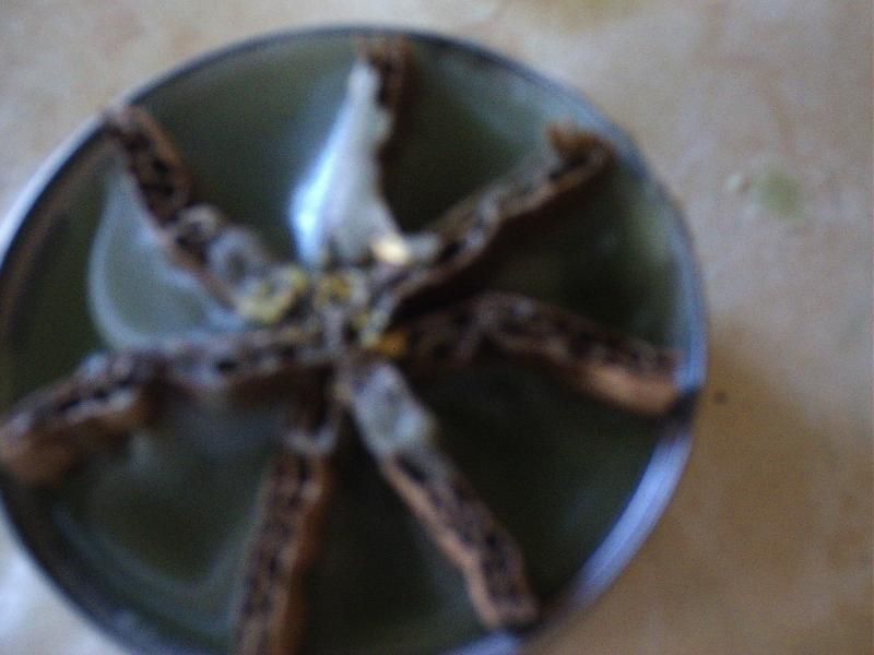 8 Stunning Examples Of Beautiful Survival Fire Starting Techniques