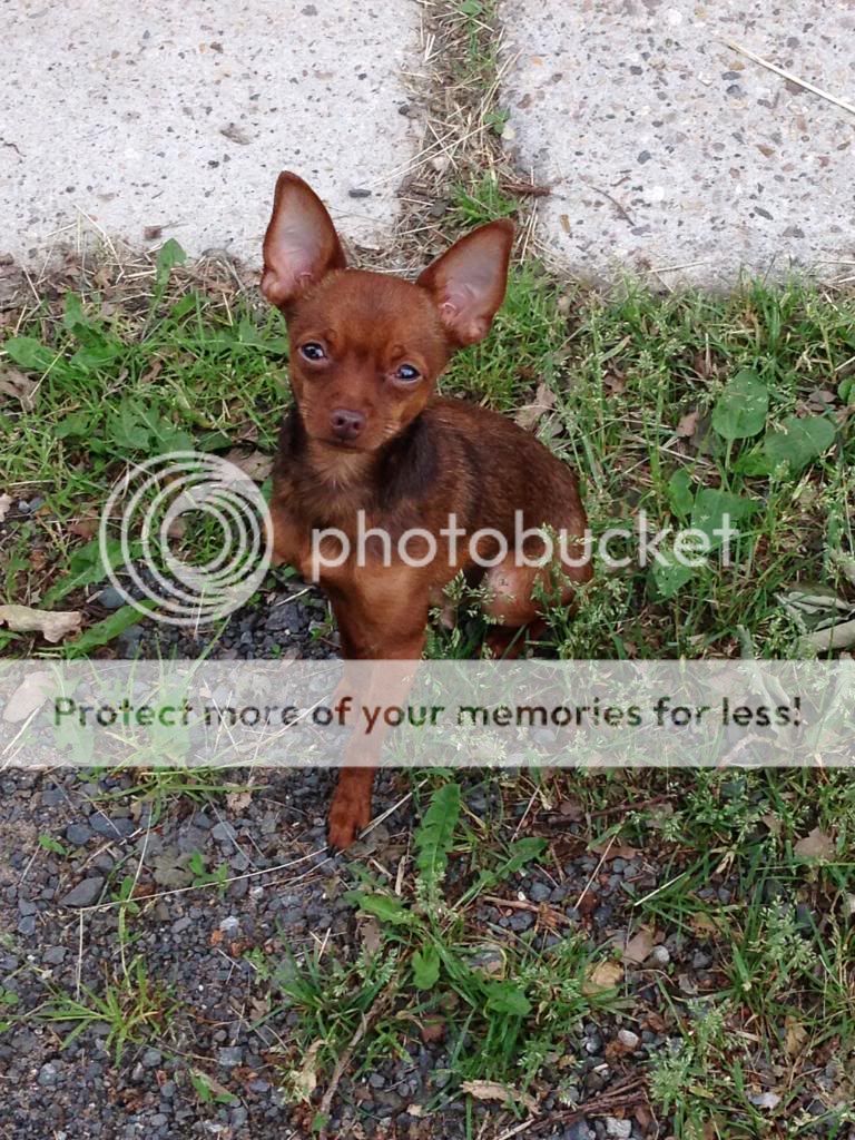 photo E395A9D5-B974-49C8-8770-6EBC237A1938_zpsaieikyo3.jpg