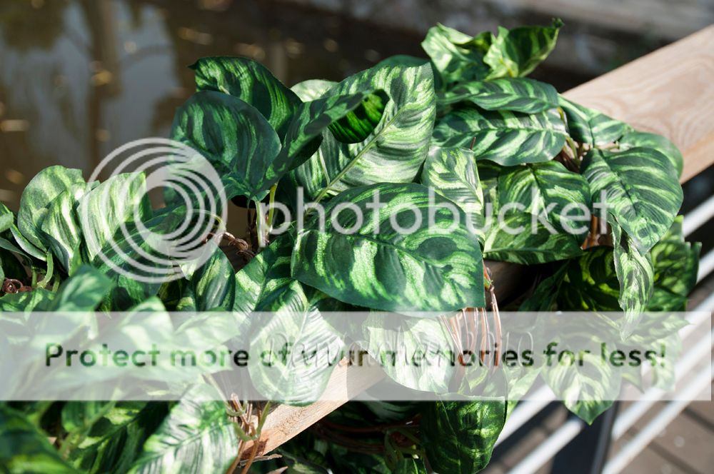 280cm Artificial Silk Ivy Fake Faux Green Leaves Vine Plant Wedding Decor Favors