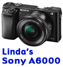  photo SonyAlphaA6000Viewforlowerfeatures125x125_zps94a40d56.png