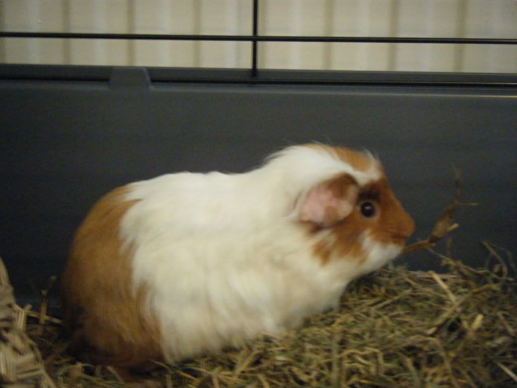 DSCF9773.jpg