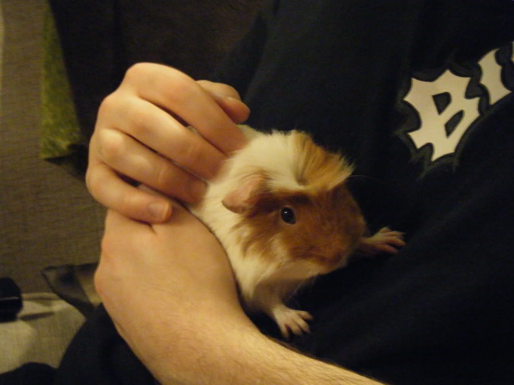 DSCF9774.jpg