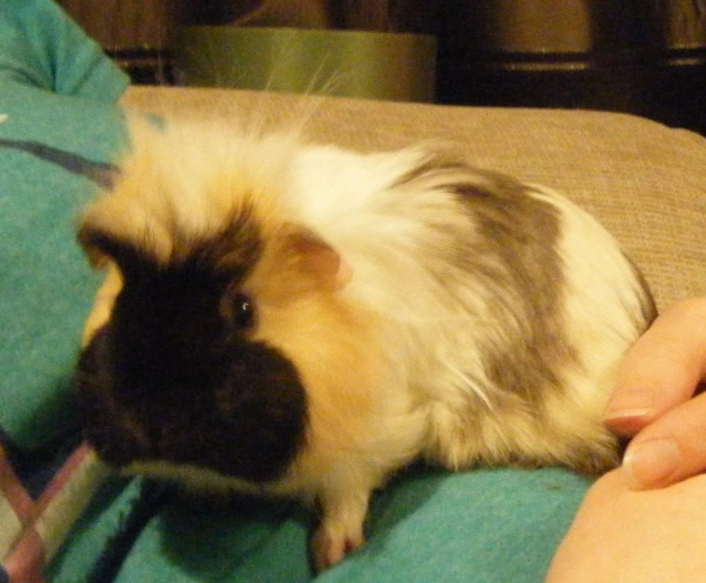 DSCF9775.jpg