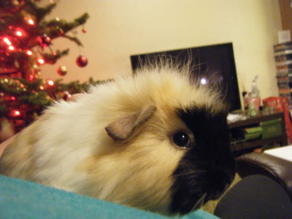 DSCF9776.jpg