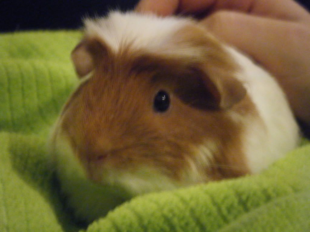 DSCF9782.jpg