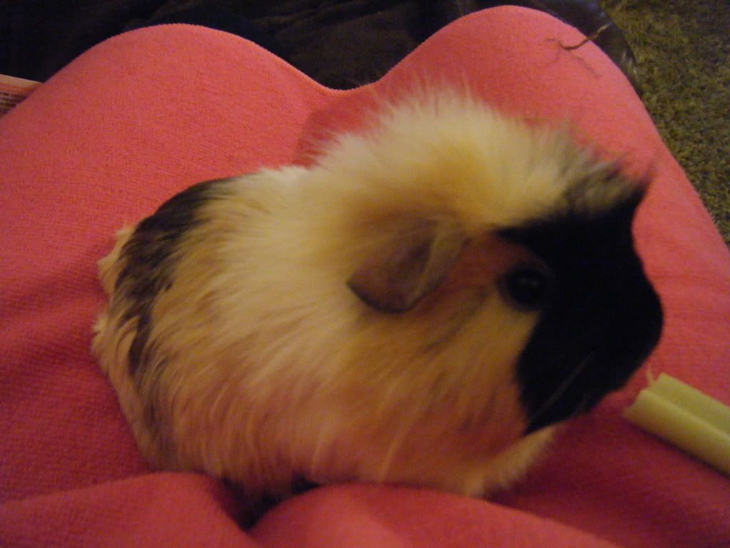 DSCF9785.jpg