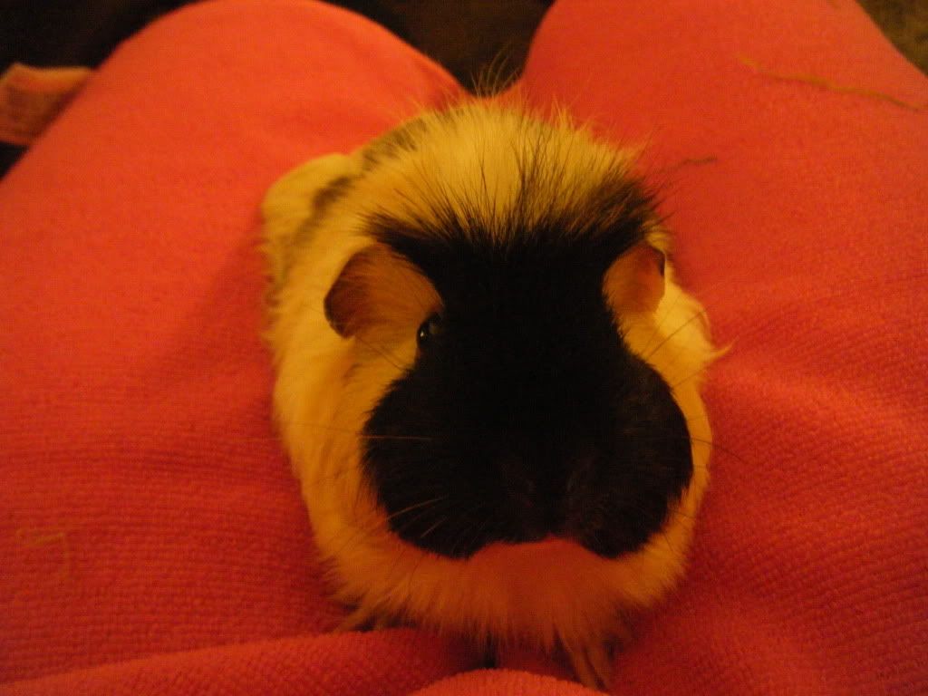 DSCF9787.jpg