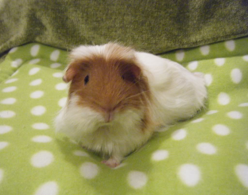DSCF9871.jpg