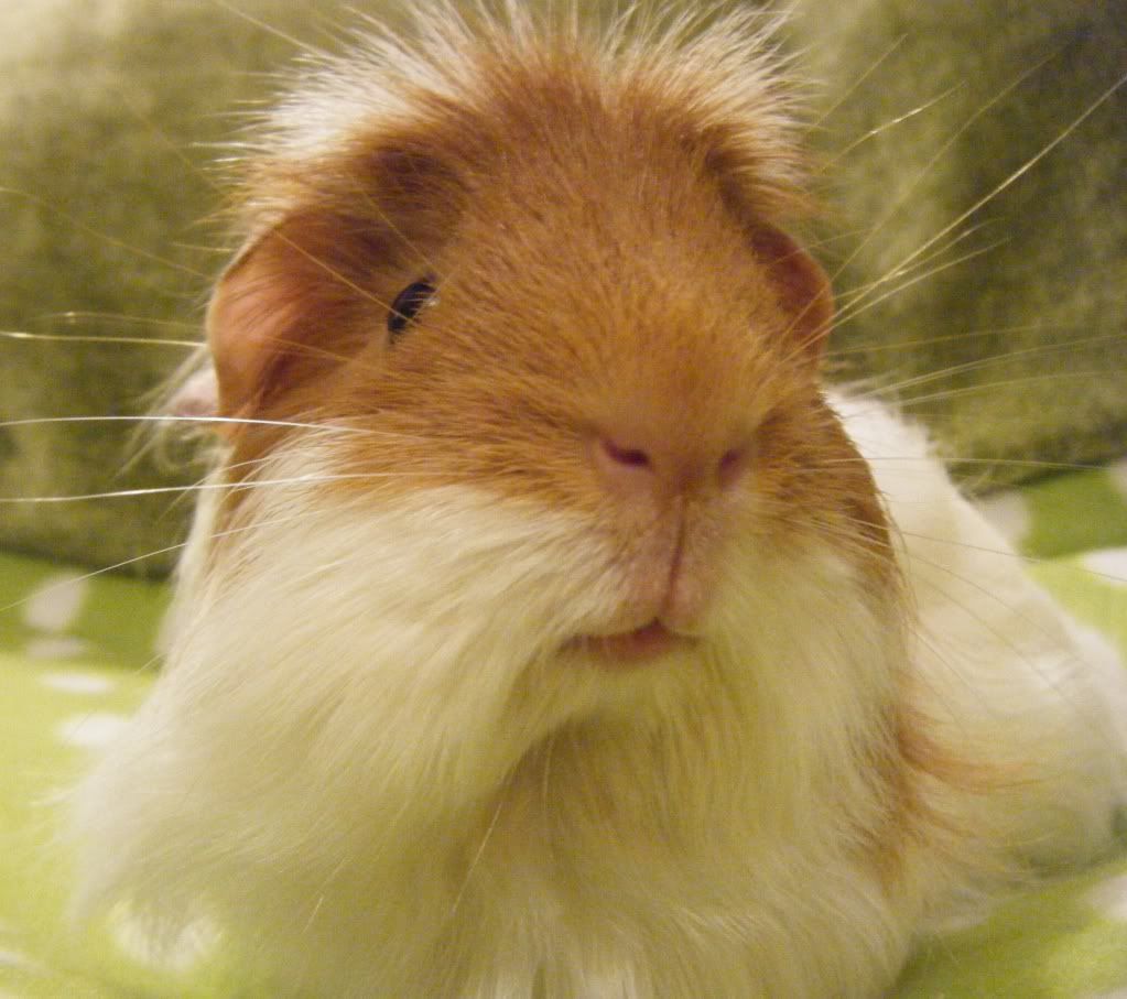 DSCF9872.jpg