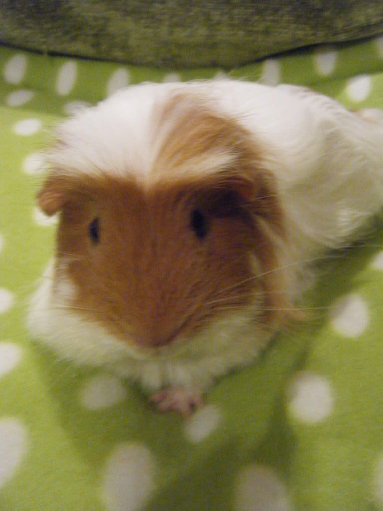 DSCF9875.jpg