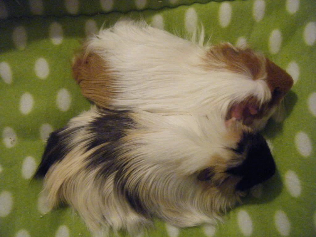 DSCF9891.jpg