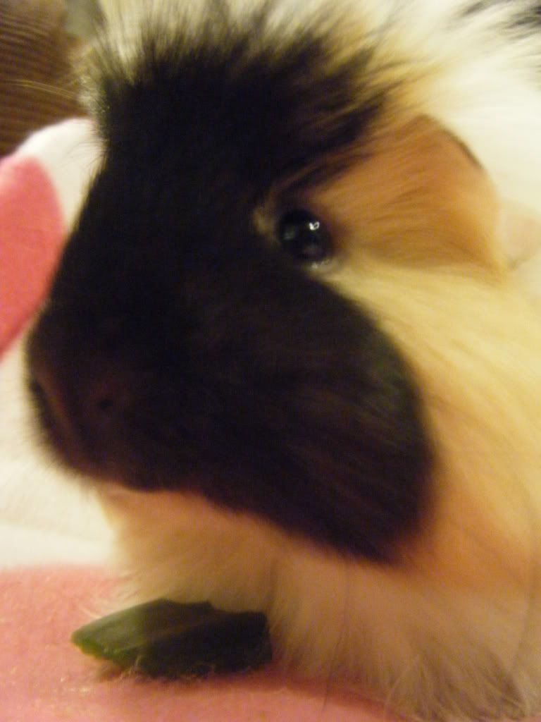 DSCF9909.jpg