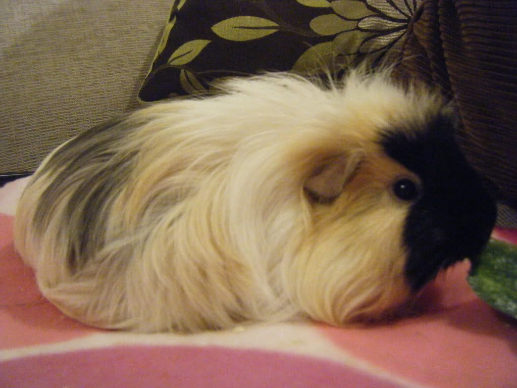 DSCF9910.jpg