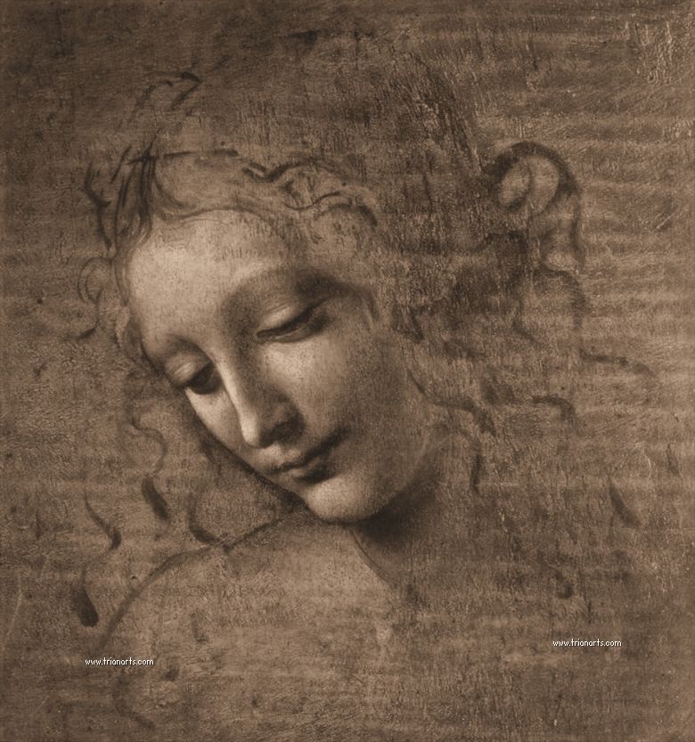  photo Leonardo-da-Vinci-cabeza-de-mujer.jpg